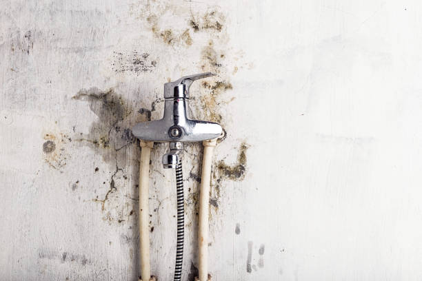 Pickens, SC Mold Removal Company