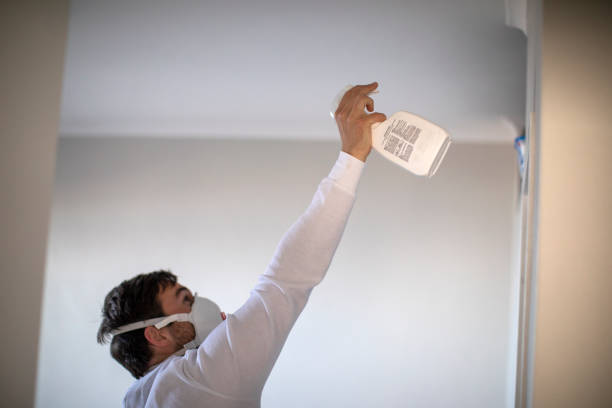 Best Mold Damage Repair  in Pickens, SC